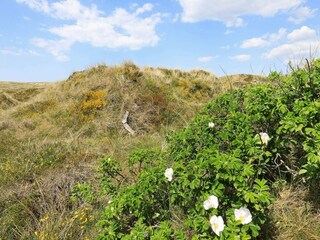Vakantiehuis Vejers Strand  16