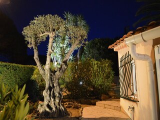 Villa Sainte-Maxime Grabación al aire libre 13