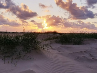 Ferienhaus Fanø Bad  36