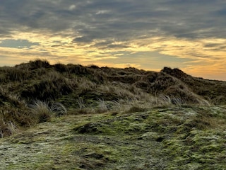 Ferienhaus Fanø Bad  34