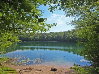 Vakantiepark Hasle  15