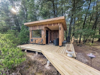 Vakantiehuis Blåvand  10