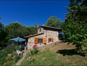 Maison de vacances Gîte de charme à Seggiano près de la forêt - Seggiano - image1