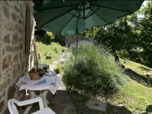 Vakantiehuis Typisch Italiaanse huisje temidden van fruitbomen - Seggiano - image1