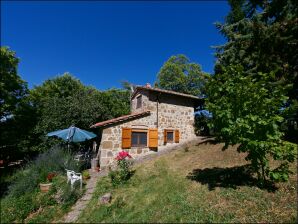 Maison de vacances Gîte de charme à Seggiano près de la forêt - Seggiano - image1