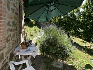 Casa de vacaciones Seggiano Grabación al aire libre 4