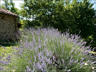 Holiday cottage Seggiano Outdoor Recording 3
