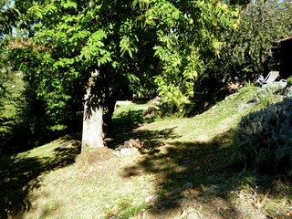 Cottage Seggiano Außenaufnahme 7