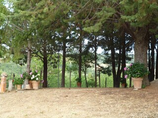 Maison de vacances Seggiano Enregistrement extérieur 8