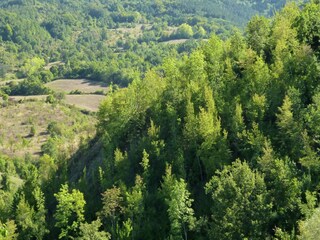 Holiday cottage Seggiano Environment 40