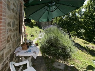 Holiday cottage Seggiano Outdoor Recording 8