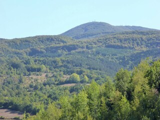 Holiday cottage Seggiano Environment 35