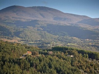 Holiday cottage Seggiano Environment 37