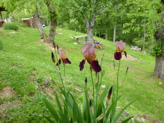 Cottage Seggiano Außenaufnahme 2