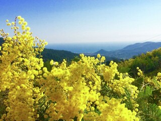 Villa L'Escaillon Entorno 32