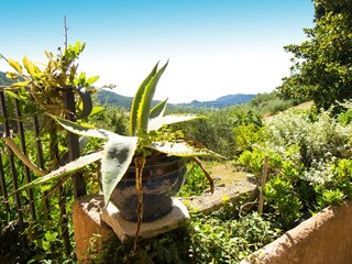 Villa L'Escaillon Buitenaudio-opname 2