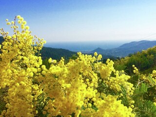 Villa L'Escaillon Environnement 31