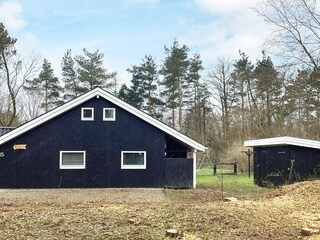 Ferienhaus Jegum  12