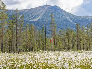 Appartement Lofsdalen  19