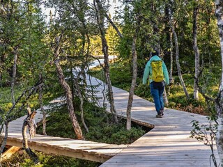 Appartement Lofsdalen  21
