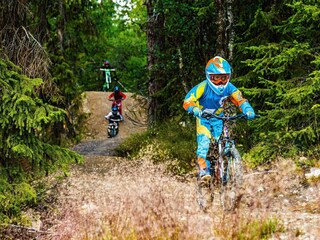 Appartement Lofsdalen  26