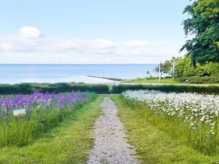 Vakantiehuis Nysted  24