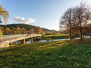 Apartment Birresborn Umgebung 36