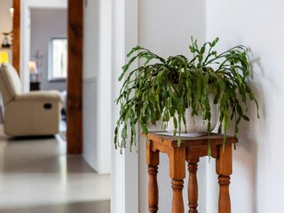 Apartment Birresborn  39