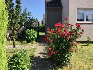 Appartement Klütz Buitenaudio-opname 5