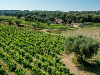Villa La Cadière d'Azur Environnement 39