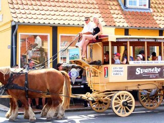 Vakantiepark Svaneke  11