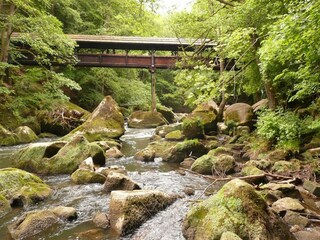 Appartement Weinsheim (Eifel) Omgeving 20