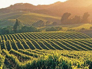 Maison de vacances Puyméras Environnement 15