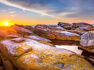 Ferienpark Svaneke  4