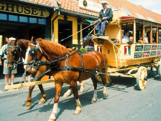 Ferienpark Svaneke  5