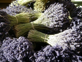 Ferienhaus Roussillon (Vaucluse)  27