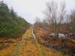 Vakantiehuis Houstrup  11