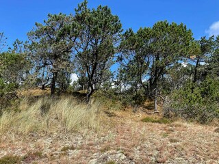 Casa de vacaciones Houstrup  36