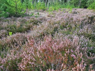 Casa de vacaciones Houstrup  16