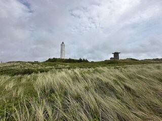 Vakantiehuis Blåvand  8