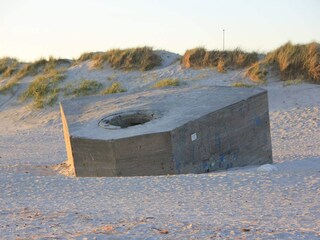 Vakantiehuis Blåvand  13
