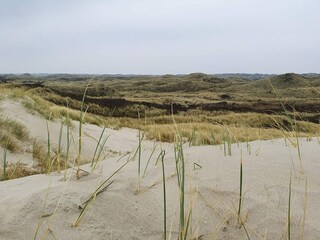 Maison de vacances Blåvand  16