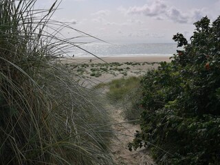Vakantiehuis Blåvand  19