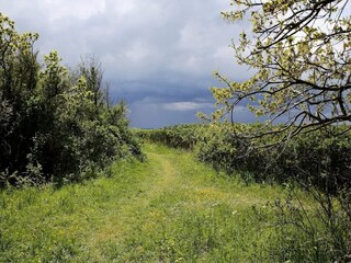 Casa per le vacanze Lohals  21