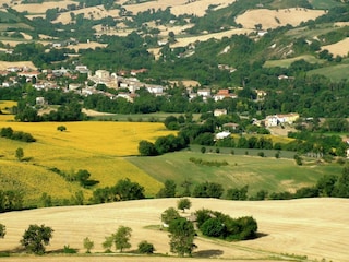 Vakantiehuis Sant'Ippolito Omgeving 37