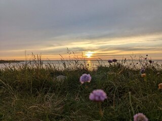 Vakantiehuis Skaven Strand  23