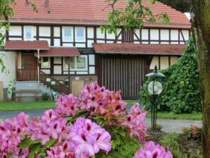 Ferienhaus Familienfreundlicher Urlaub im Landhaus Obergude - Alheim - image1