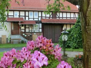 Ferienhaus Familienfreundlicher Urlaub im Landhaus Obergude - Alheim - image1