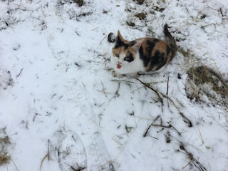 Maison de vacances Alheim Environnement 21