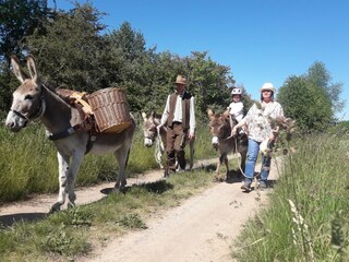 Casa per le vacanze Alheim  29